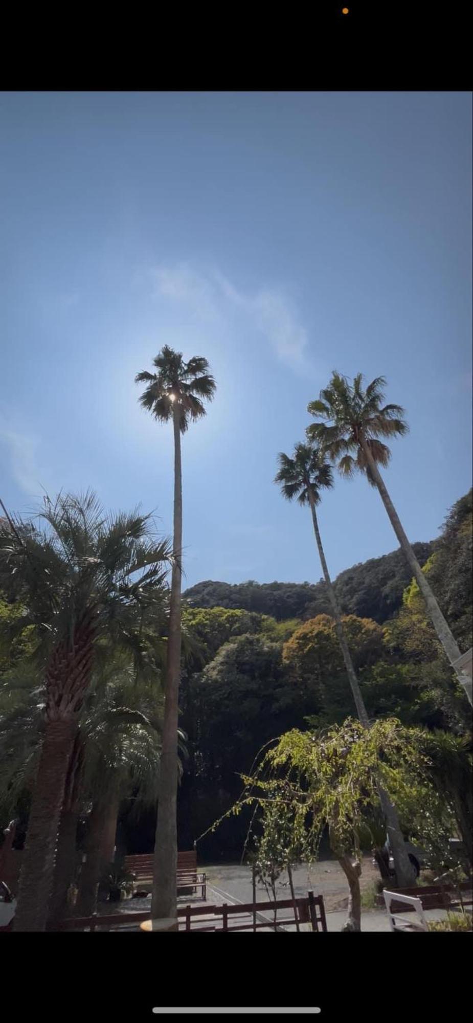 The Surf Lodge White Beach Shimoda  Extérieur photo
